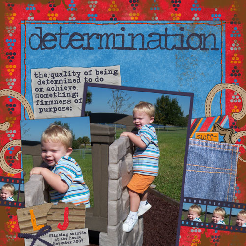 Determination