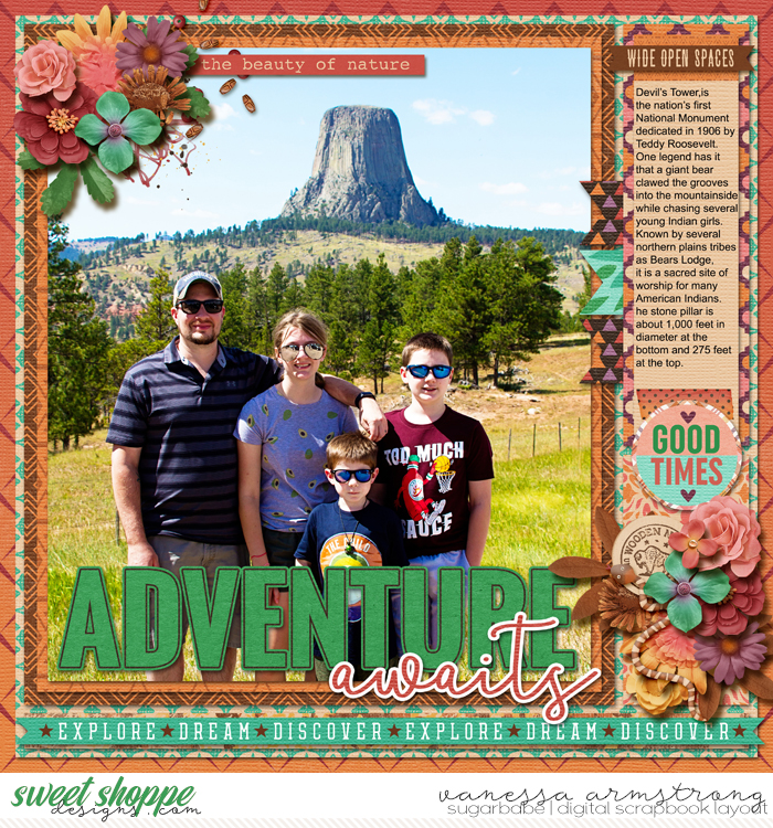 Devil's Tower