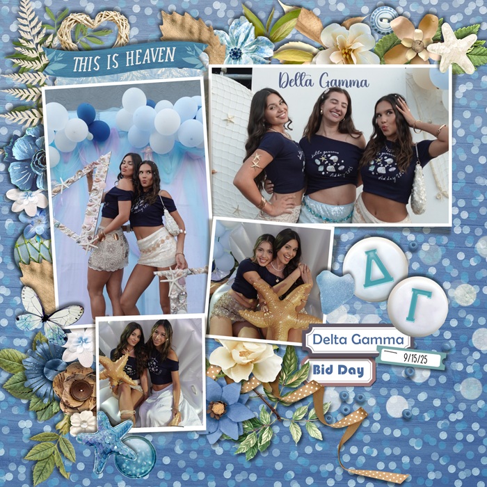 DG BID DAY