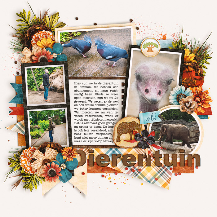 Dierentuin