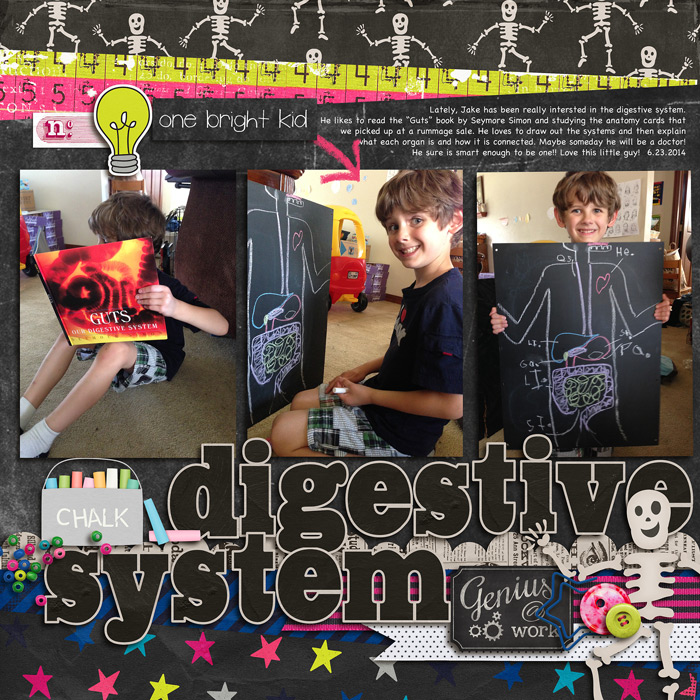 Digestive System