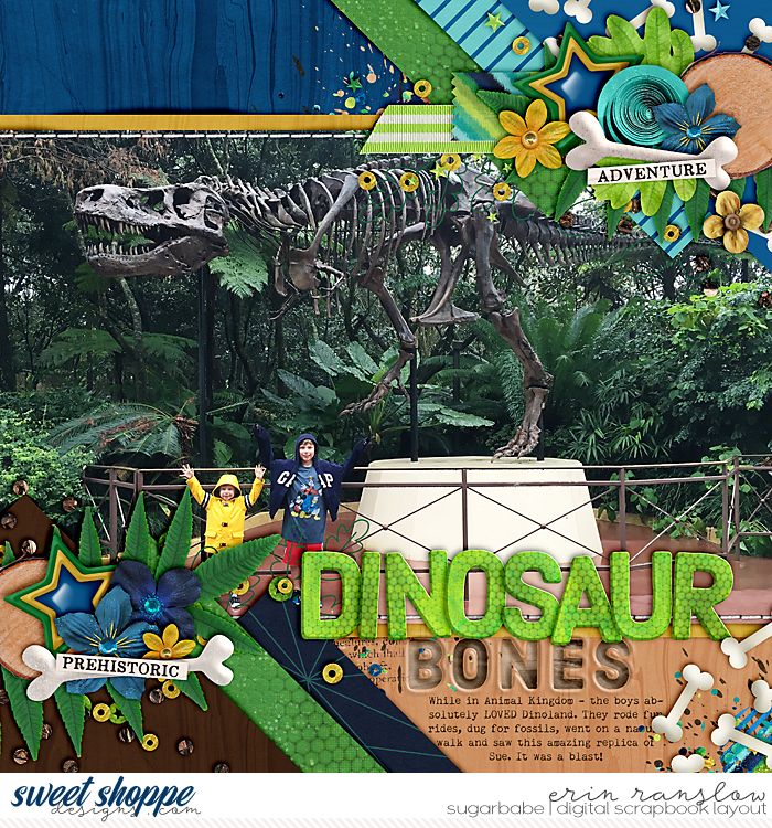Dinosaur Bones