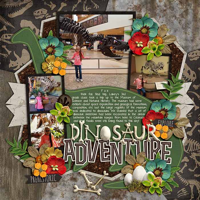 Dinosaur Museum