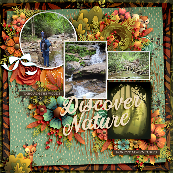 Discover Nature