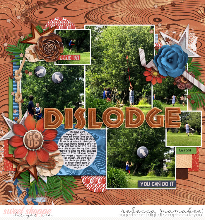 Dislodge