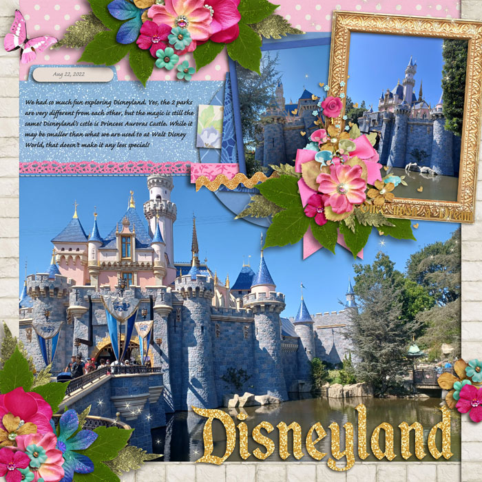 Disneyland