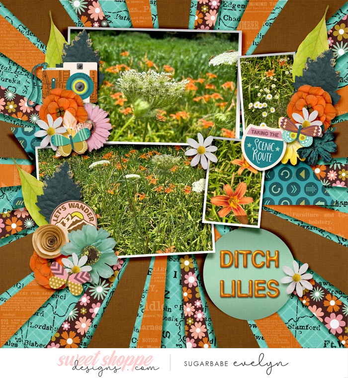 Ditch Lilies