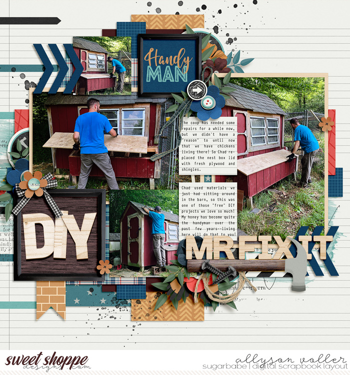 DIY coop fixer