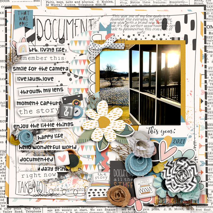 Document