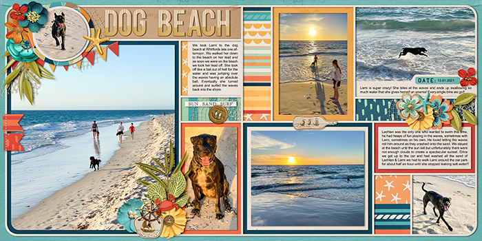 Dog Beach