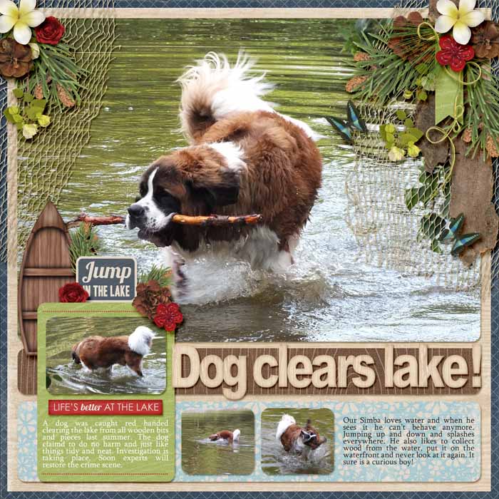 Dog clears lake!
