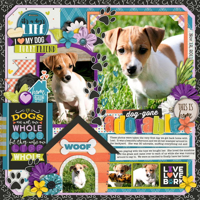 Dog-gone Adorable
