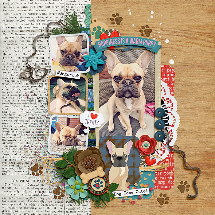 Dog gone cute!