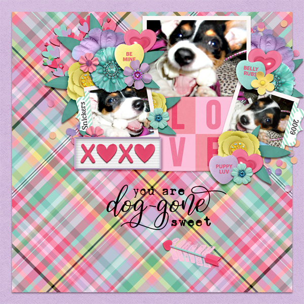 Dog-gone Sweet