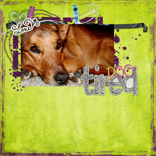 Dog Tired