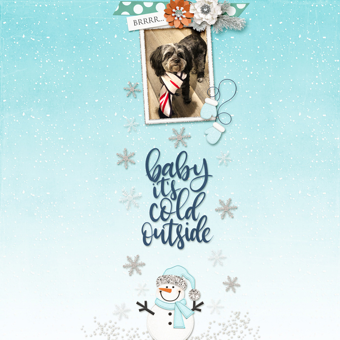 Doggone Cold
