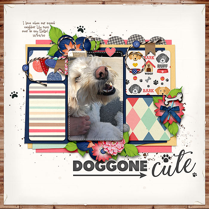 doggone cute