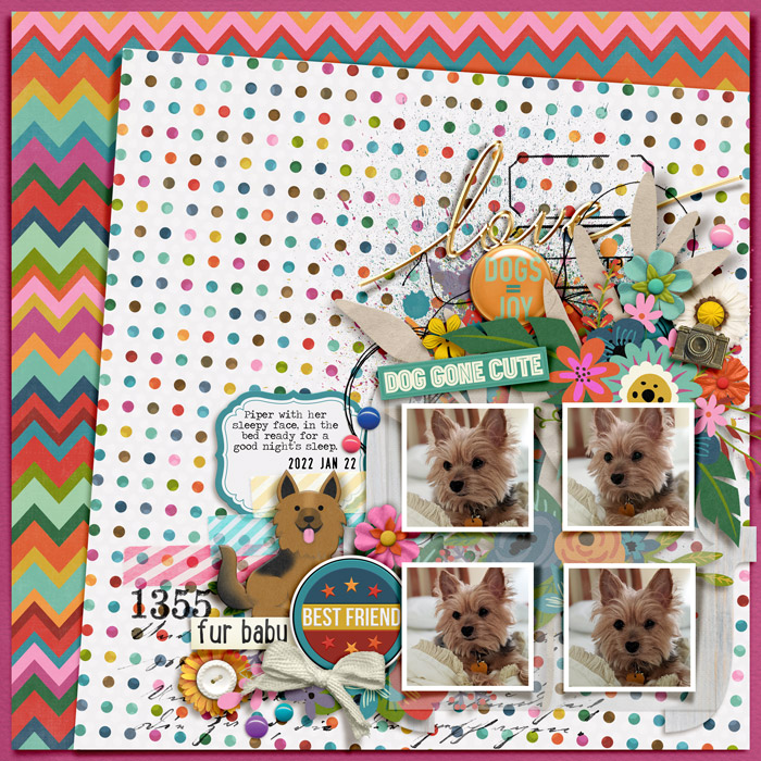 Doggone Cute