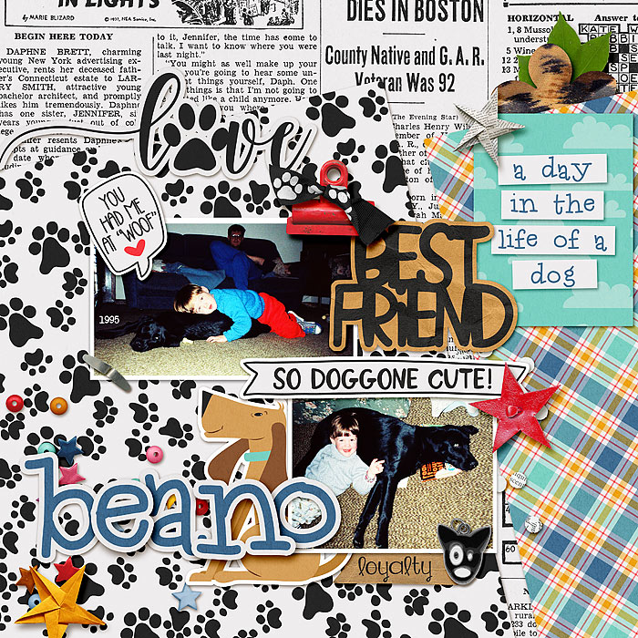 Doggone Cute