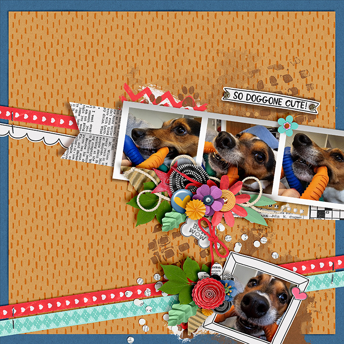 Doggone Cute