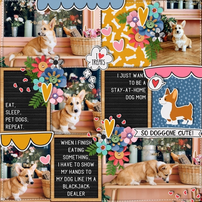 Doggone_Cute