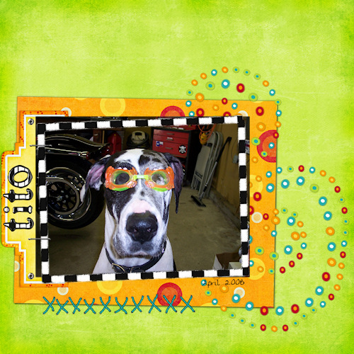Doggy Goggles