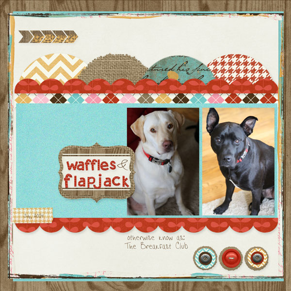 Dogs