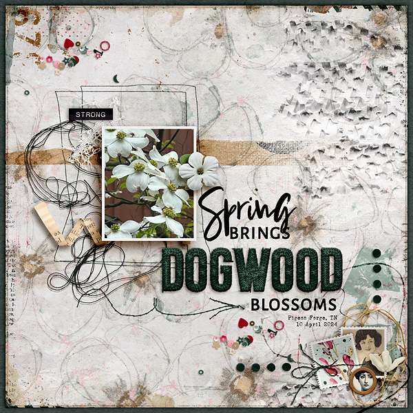 Dogwood
