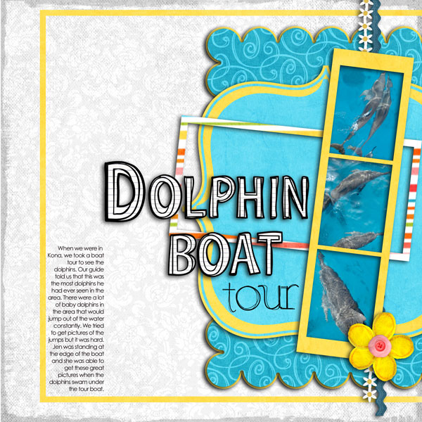 Dolphin Boat Tour