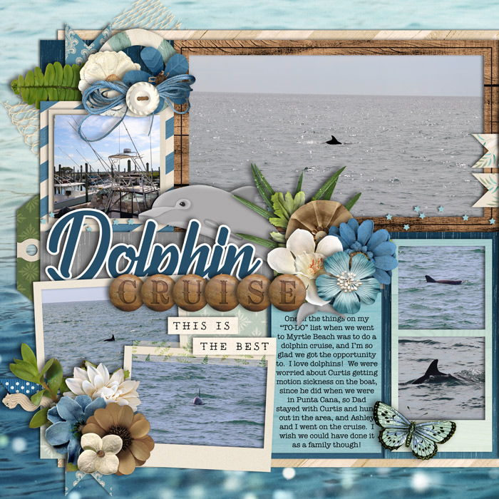 Dolphin Cruise (left side)