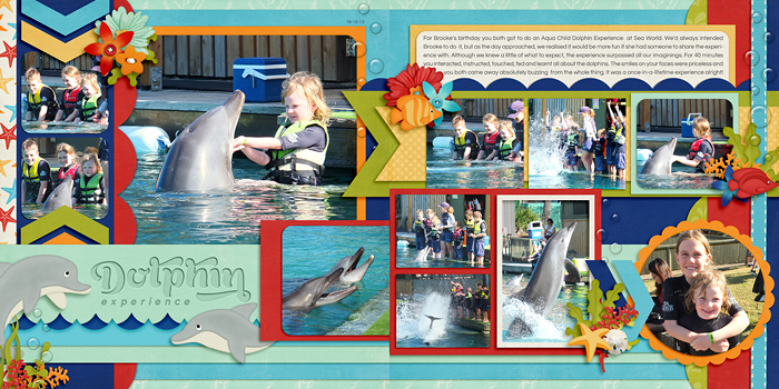 Dolphin Experience