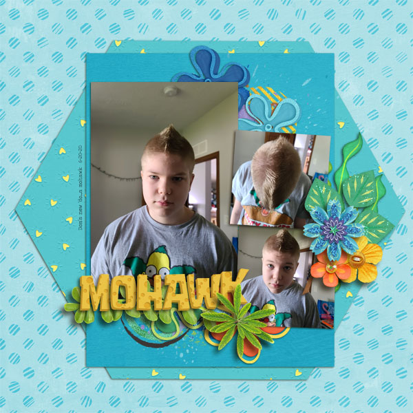 dom-mohawk