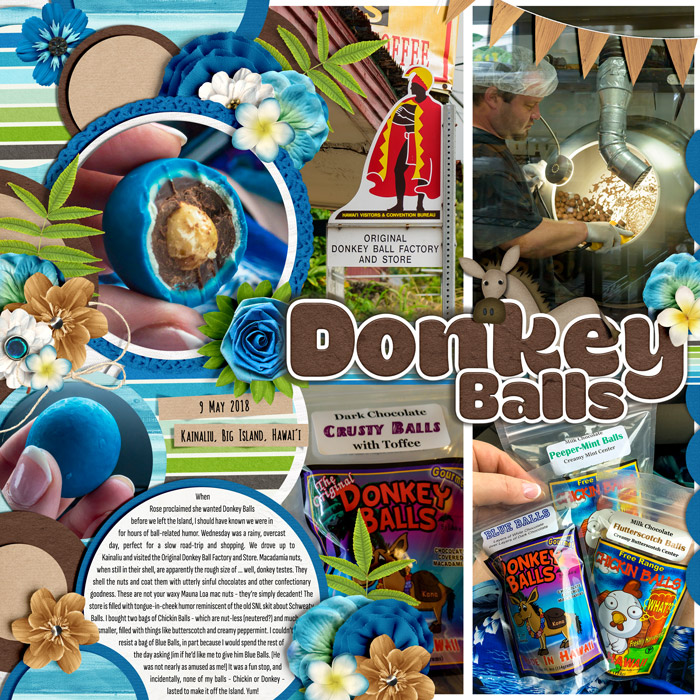 Donkey Balls