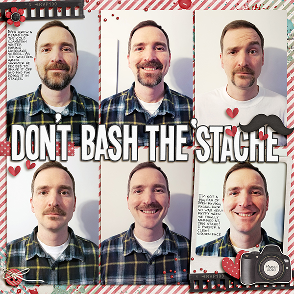 Don't Bash the 'Stache
