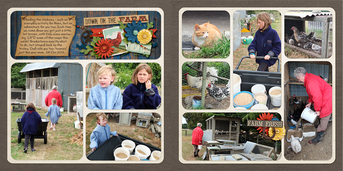 Down on the farm (2 pager)