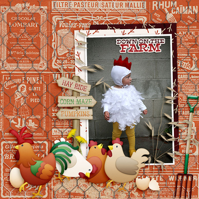 Down on the Farm