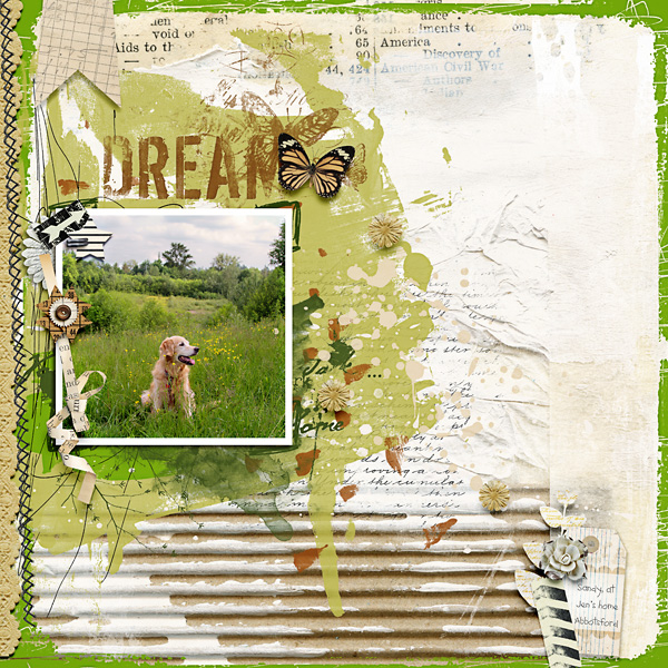 Dream