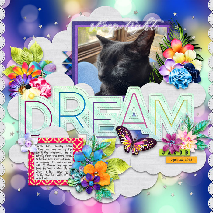 Dream