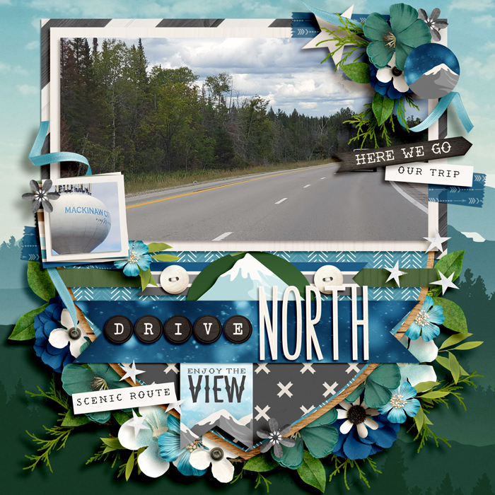 Drive North