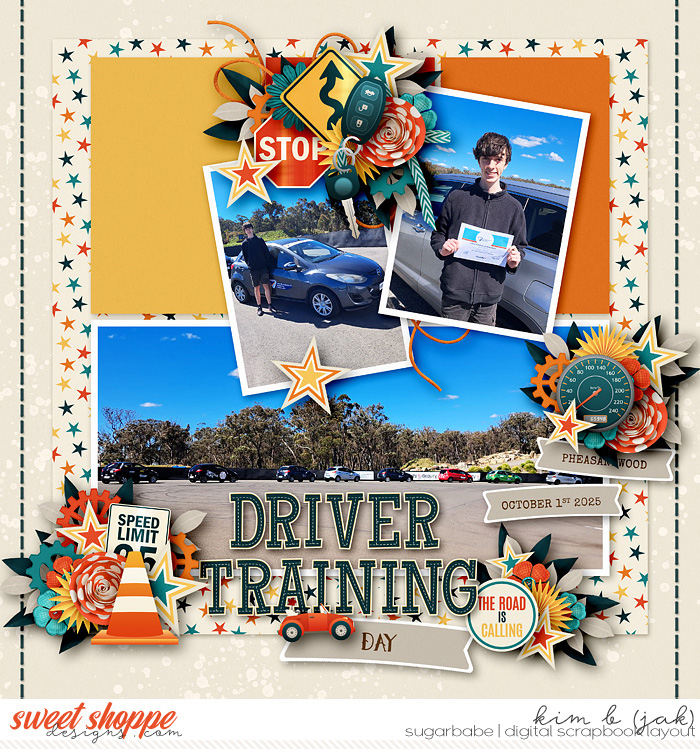 Driver Training