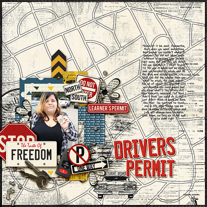 Drivers Permit