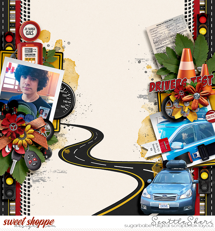 Drivers Test