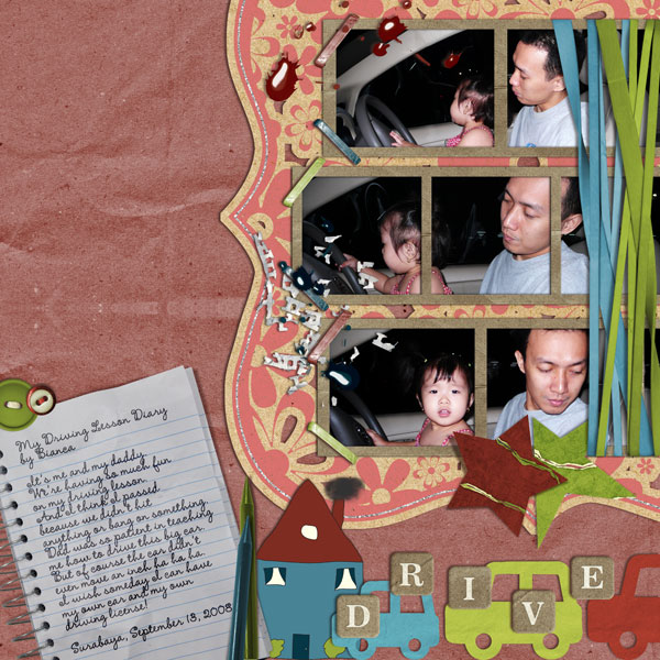 Driving Lesson Diary