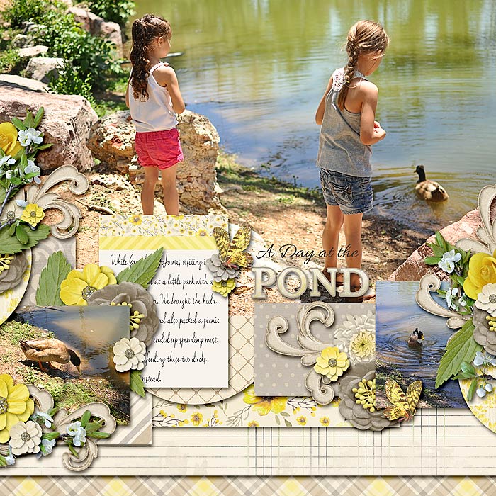 Duck Pond