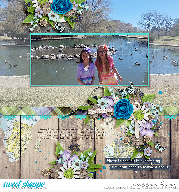 Duck Pond