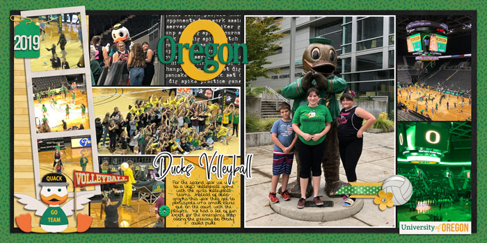 Ducks Volleyball 2019