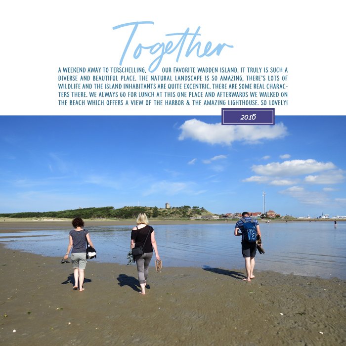 Dutch Wadden Islands: Terschelling #03 (2016)