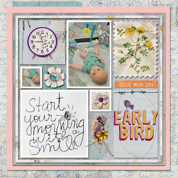 early bird
