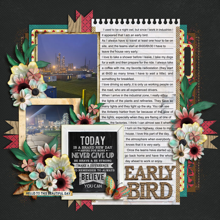 Early bird