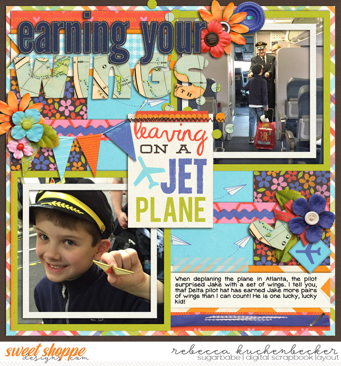 earning your wings